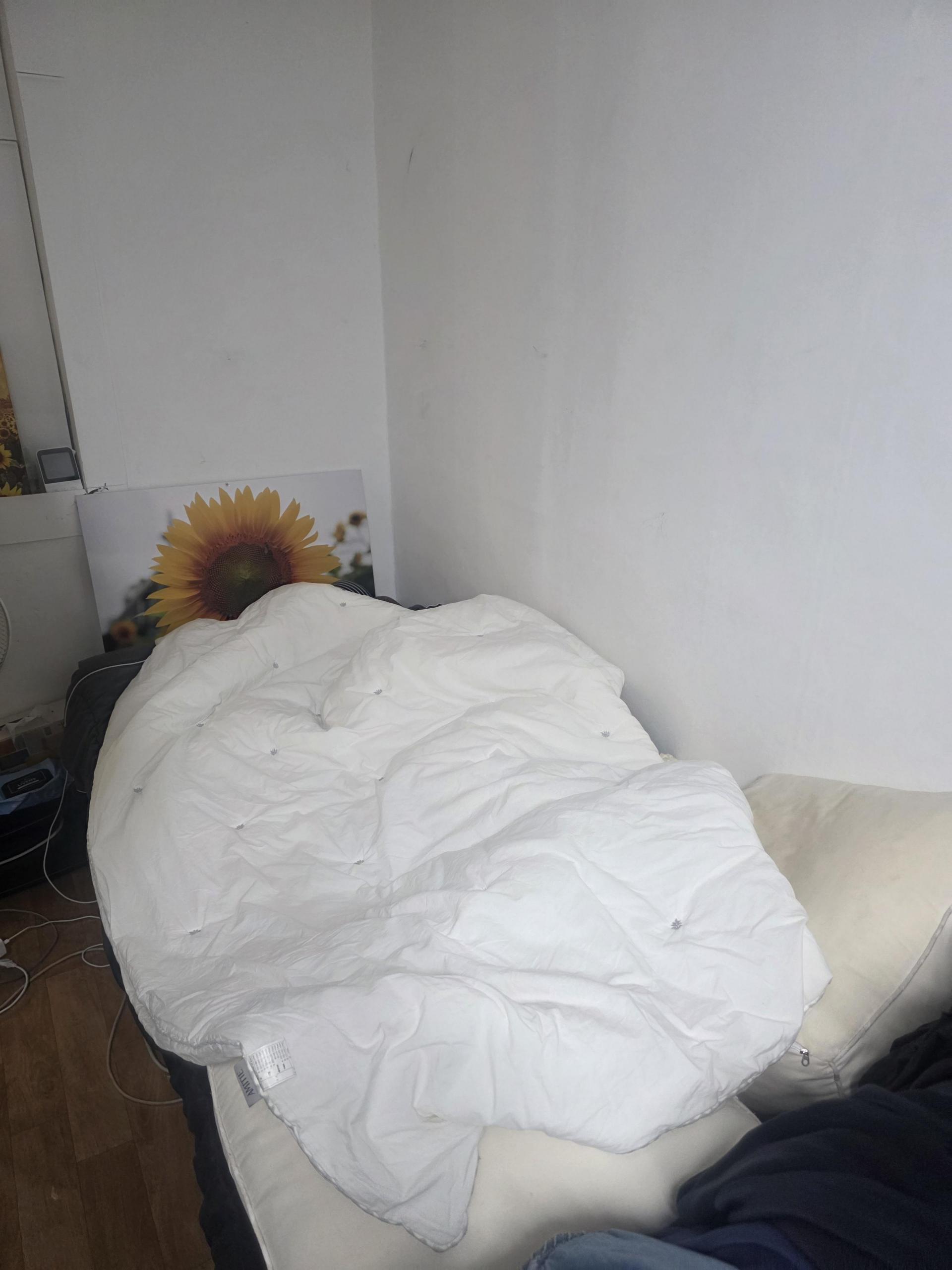 f18919d0967fb.jpg